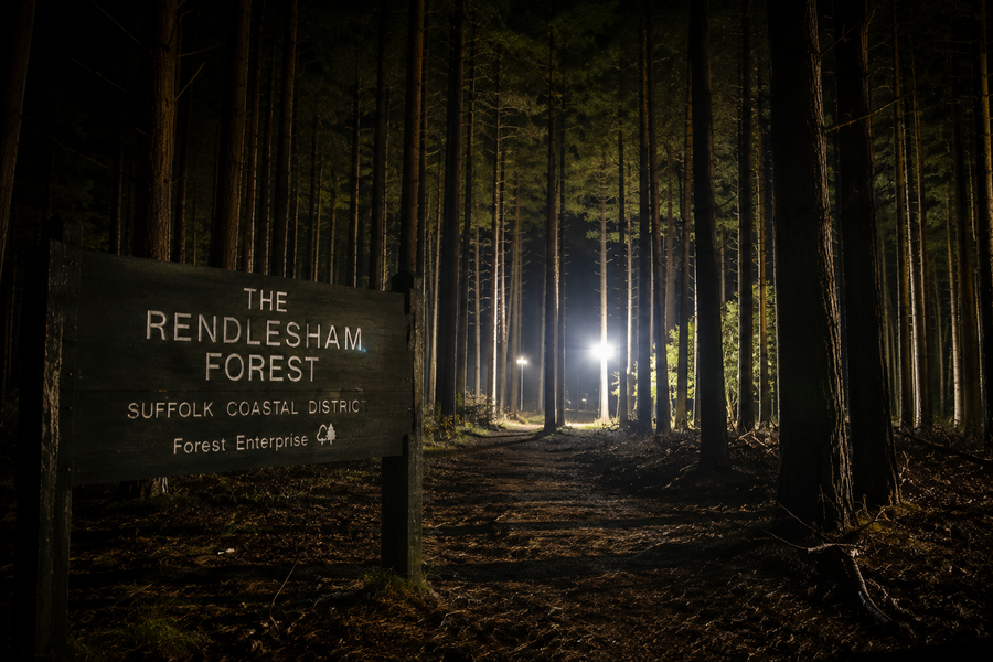 The Rendlesham Forest