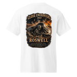 Roswell Crash Site